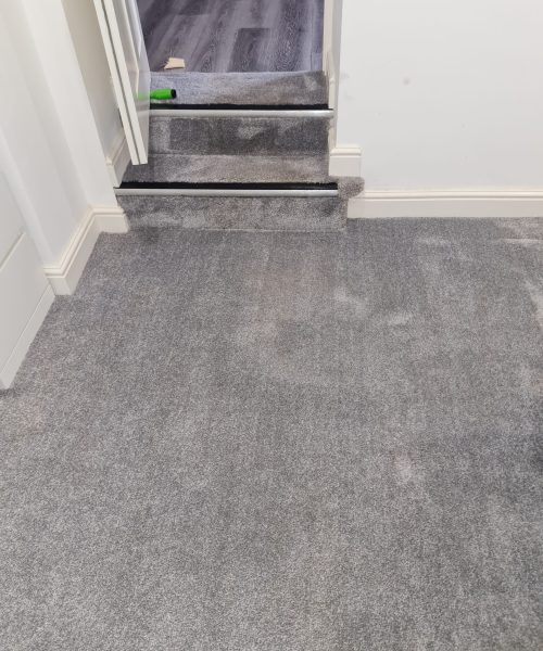 after carpet cleaning - Skyline Cleaning after carpet cleaning - Skyline Cleaning